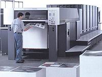 ������ɫ��